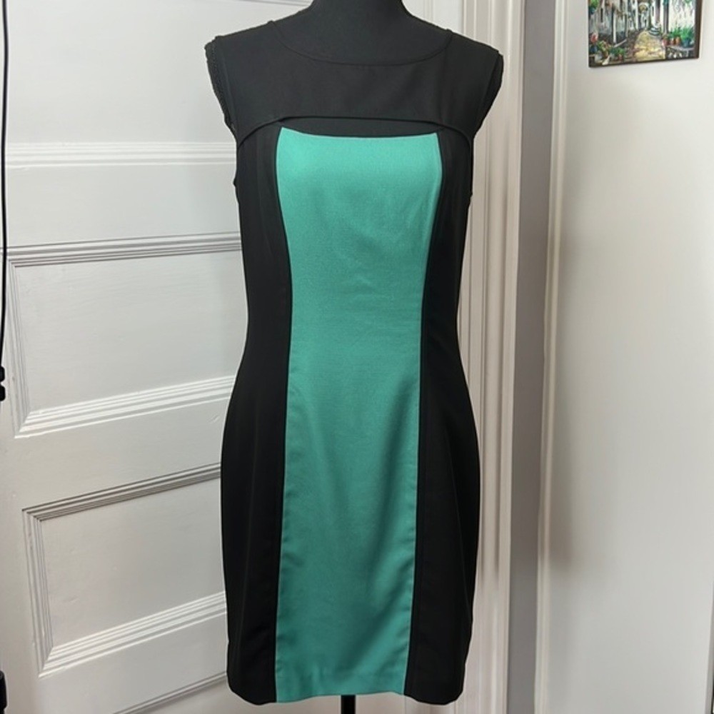 MARC‎ NEW YORK ANDREW MARC WOMENS DRESS SIZE 8